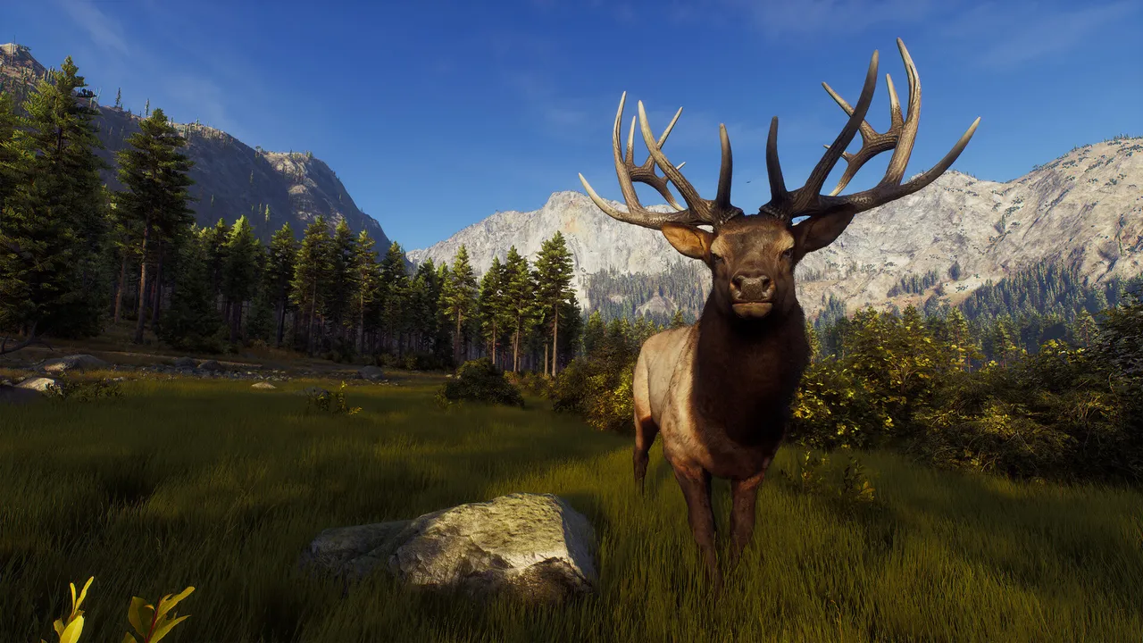 Way of the Hunter screenshot