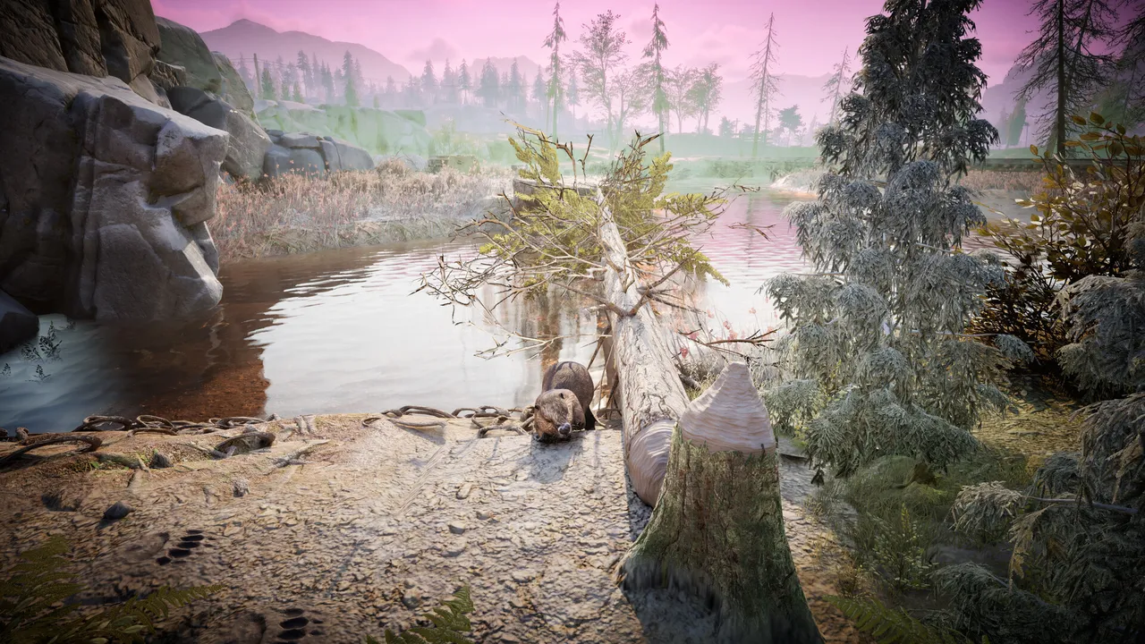 Winter Survival screenshot